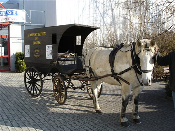 Photo de l’album