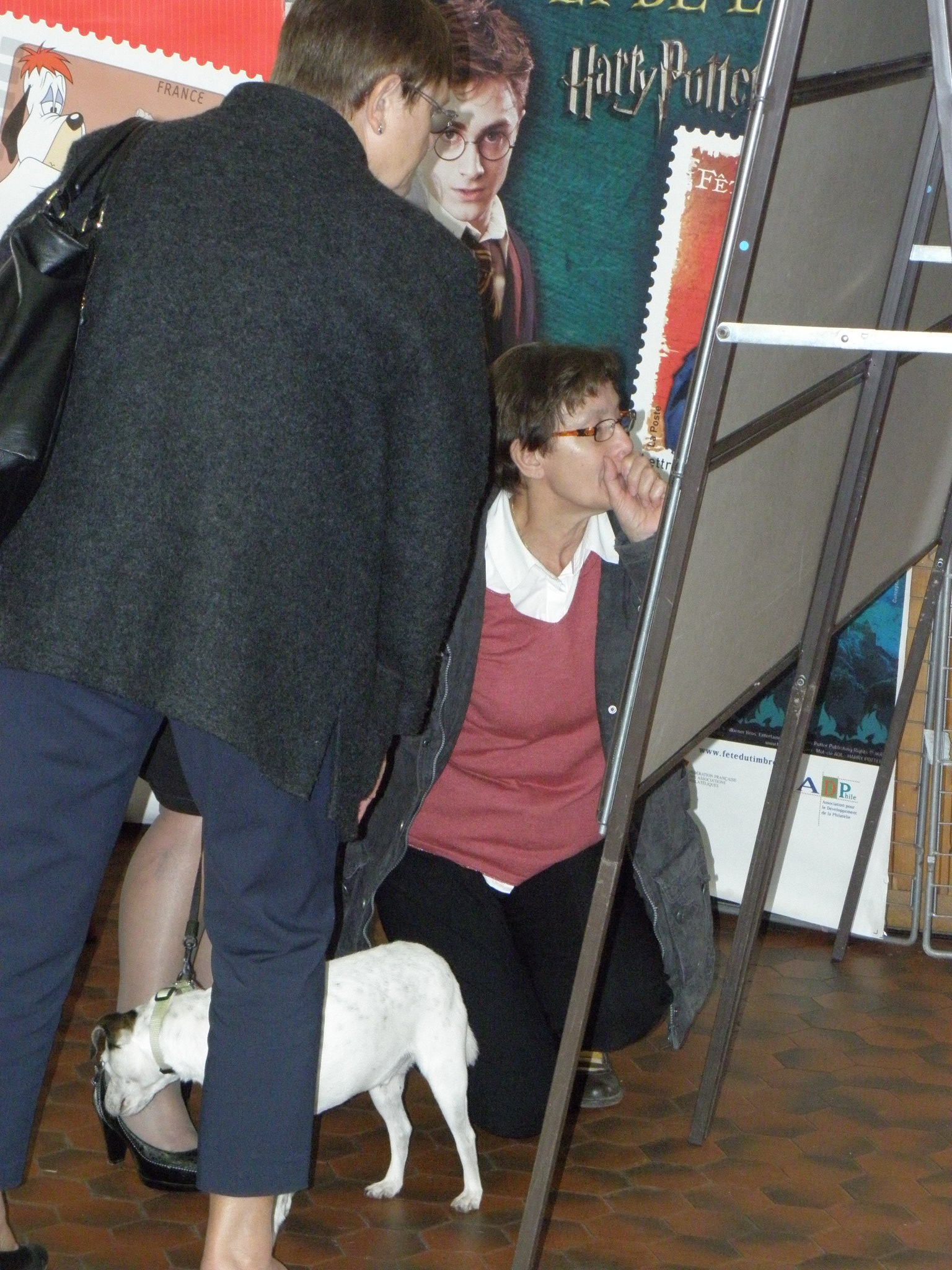 Photo de l’album