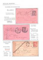 FLPN1207.jpg