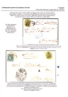 TSVFA_007.jpg