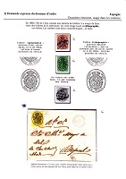 TSVFA_009.jpg