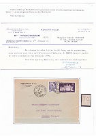 P03.jpg