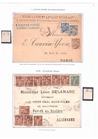 P12.jpg