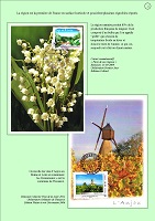 PaysdelaLoire02.jpg