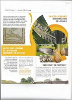 lesVosgesCulturelles09.jpg