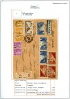 feuille007.jpg