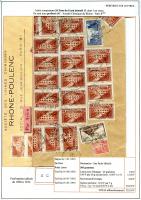 feuille008.jpg