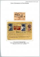 feuille011.jpg