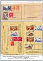 feuille013.jpg